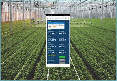 IoT smart farming